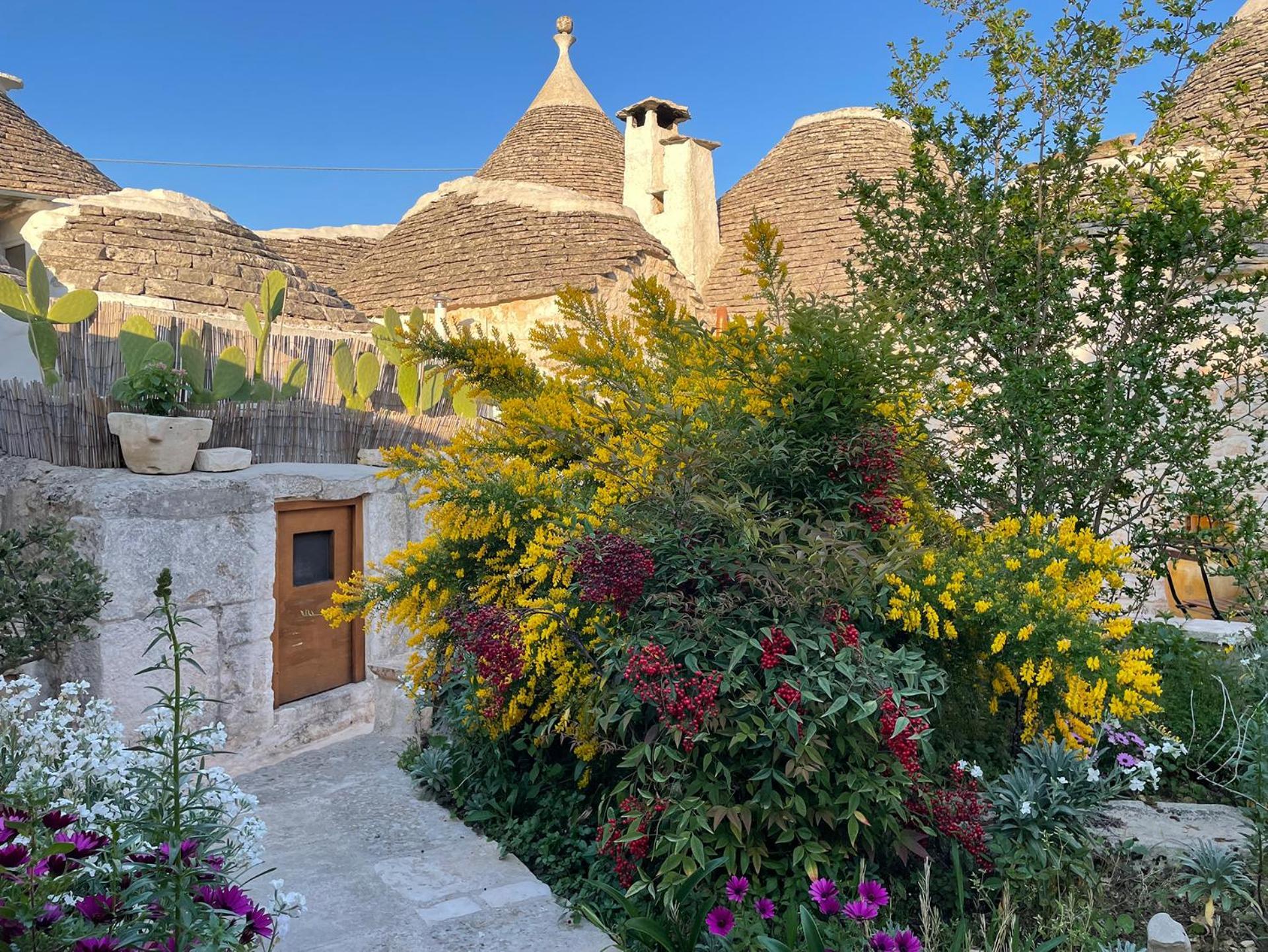 알베르벨로 Trullo Aprico 빌라 외부 사진